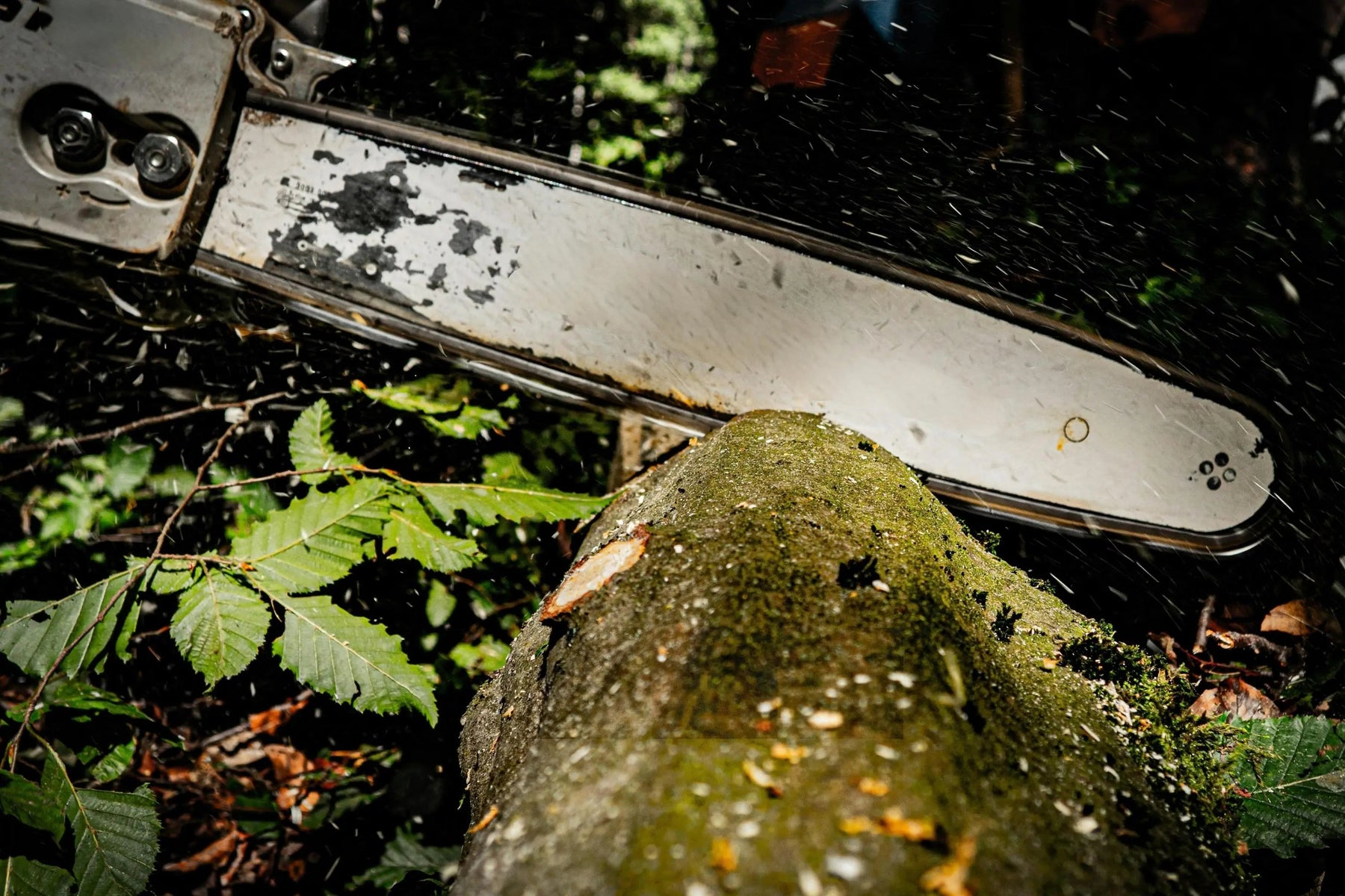How to Measure a Chainsaw Bar Correctly - Chainsawdeck